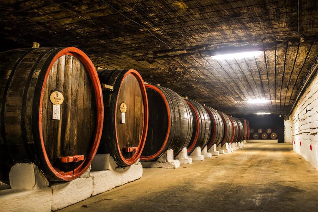 Cricova Winery