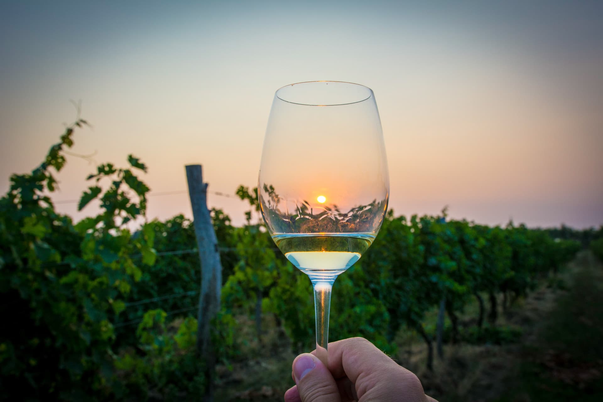Moldovan Wine